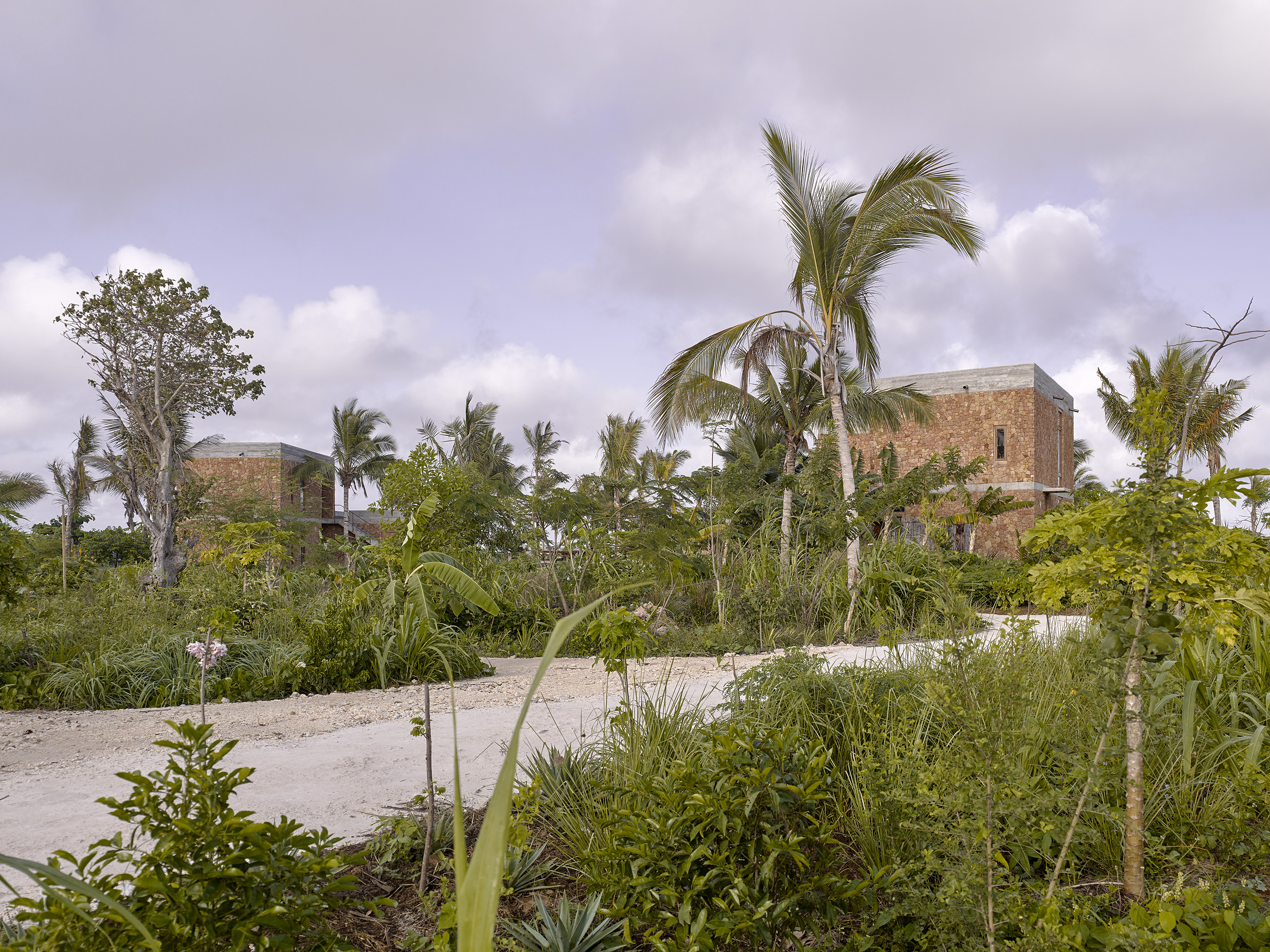 Kizikula, Kizimkazi, Zanzibar